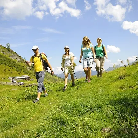 公寓 Almliesl Zell-315 *